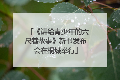 《讲给青少年的六尺巷故事》新书发布会在桐城举行