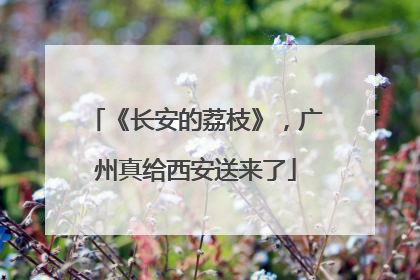 《长安的荔枝》，广州真给西安送来了