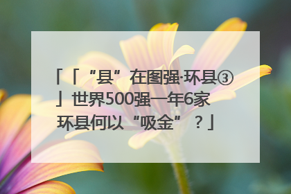 「“县”在图强·环县③」世界500强一年6家 环县何以“吸金”？