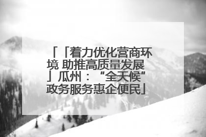「着力优化营商环境 助推高质量发展」瓜州：“全天候”政务服务惠企便民