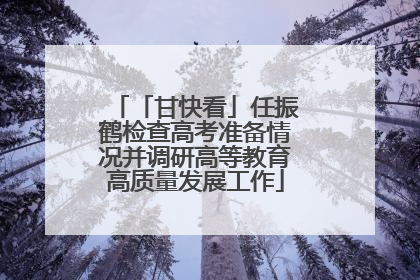 「甘快看」任振鹤检查高考准备情况并调研高等教育高质量发展工作