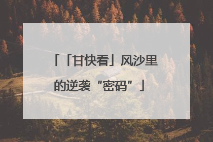 「甘快看」风沙里的逆袭“密码”