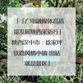 「广电融媒体高质量发展陕西采访行」陕西汉中市：徐家坪铁路风情小镇 出站就是景区