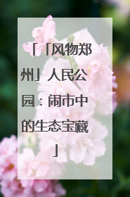 「风物郑州」人民公园：闹市中的生态宝藏