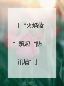 “火焰蓝”筑起“防汛墙”