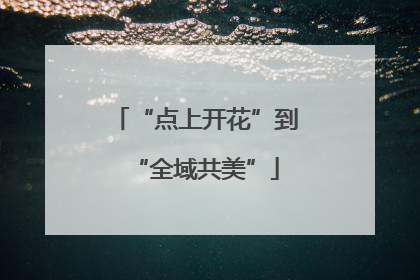 “点上开花”到“全域共美”
