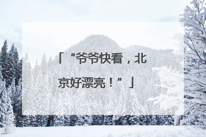 “爷爷快看，北京好漂亮！”