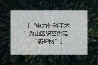 “电力外科手术”为山区织密供电“防护网”