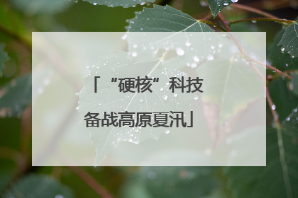 “硬核”科技备战高原夏汛