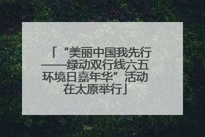 “美丽中国我先行——绿动双行线六五环境日嘉年华”活动在太原举行