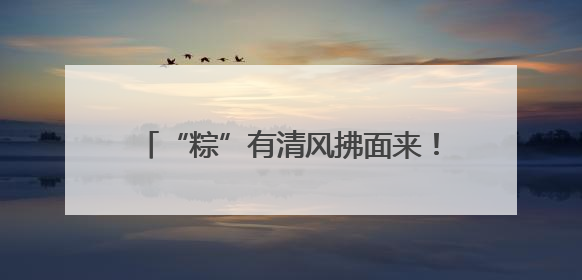 “粽”有清风拂面来！五社联动共织清风网