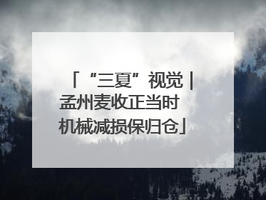 “三夏”视觉｜孟州麦收正当时 机械减损保归仓