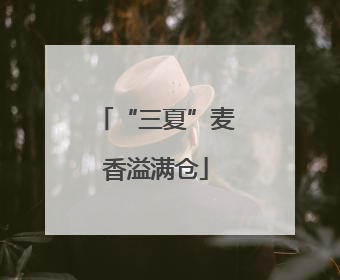 “三夏”麦香溢满仓
