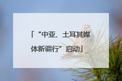 “中亚、土耳其媒体新疆行”启动