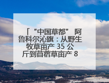 “中国草都” 阿鲁科尔沁旗：从野生牧草亩产 35 公斤到苜蓿草亩产 800 公斤以上