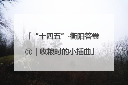 “十四五”·衡阳答卷③｜收粮时的小插曲