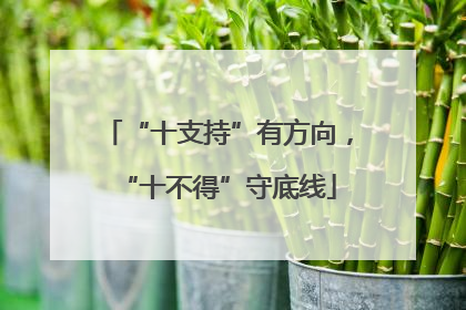 “十支持”有方向，“十不得”守底线