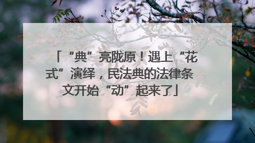 “典”亮陇原！遇上“花式”演绎，民法典的法律条文开始“动”起来了