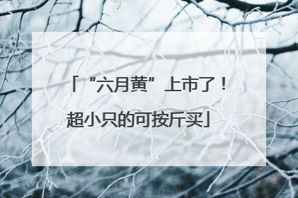 “六月黄”上市了！超小只的可按斤买