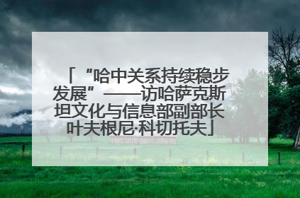 “哈中关系持续稳步发展”——访哈萨克斯坦文化与信息部副部长叶夫根尼·科切托夫