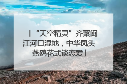 “天空精灵”齐聚闽江河口湿地，中华凤头燕鸥花式谈恋爱
