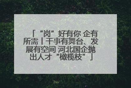 “岗”好有你 企有所需丨干事有舞台、发展有空间 河北国企抛出人才“橄榄枝”