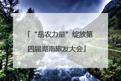 “岳农力量”绽放第四届湖南旅发大会