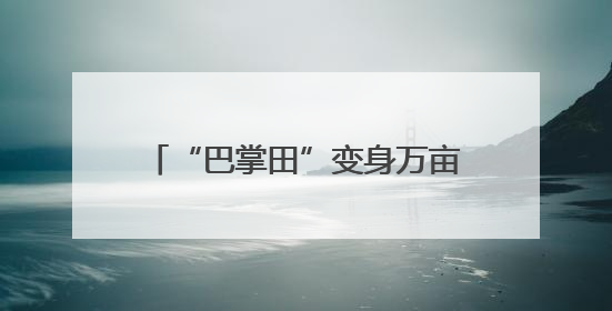 “巴掌田”变身万亩良田 四川合江耕地面积连续三年净增长