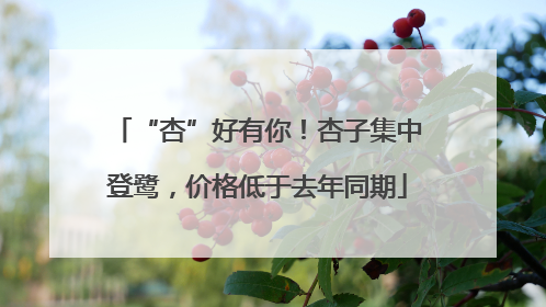 “杏”好有你！杏子集中登鹭，价格低于去年同期