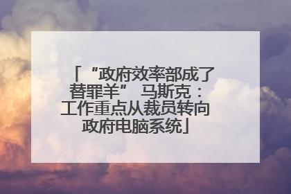 “政府效率部成了替罪羊” 马斯克：工作重点从裁员转向政府电脑系统