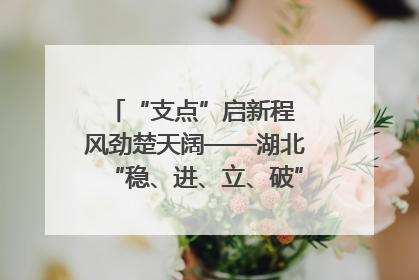 “支点”启新程 风劲楚天阔——湖北“稳、进、立、破”谱写“荆”彩篇章