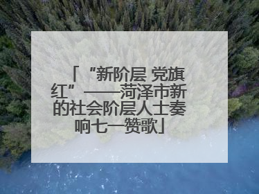 “新阶层 党旗红”——菏泽市新的社会阶层人士奏响七一赞歌
