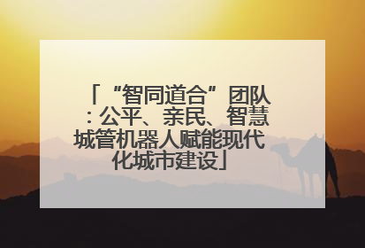 “智同道合”团队：公平、亲民、智慧城管机器人赋能现代化城市建设