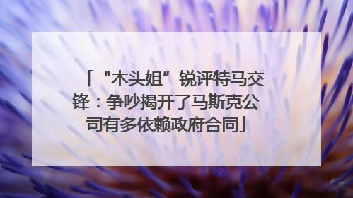 “木头姐”锐评特马交锋：争吵揭开了马斯克公司有多依赖政府合同