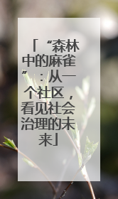 “森林中的麻雀”：从一个社区，看见社会治理的未来