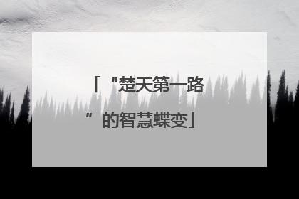 “楚天第一路”的智慧蝶变