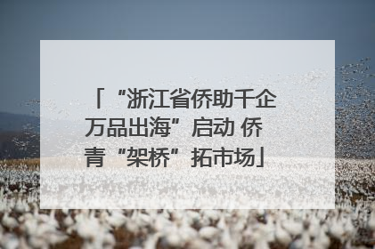 “浙江省侨助千企万品出海”启动 侨青“架桥”拓市场
