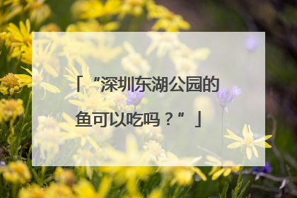 “深圳东湖公园的鱼可以吃吗？”