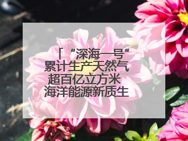 “深海一号”累计生产天然气超百亿立方米 海洋能源新质生产力蓬勃发展