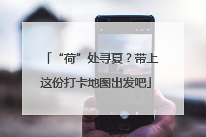 “荷”处寻夏？带上这份打卡地图出发吧