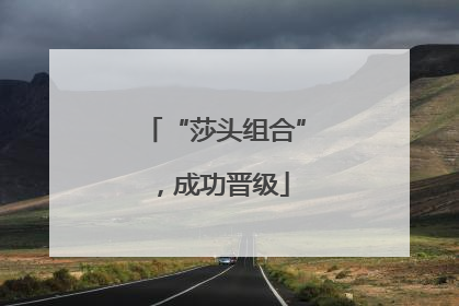 “莎头组合”，成功晋级
