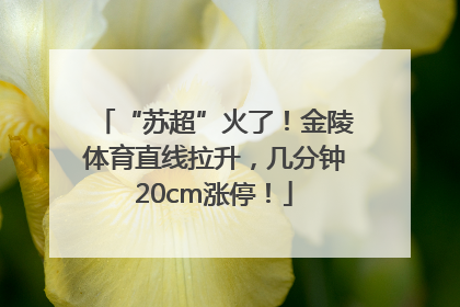 “苏超”火了！金陵体育直线拉升，几分钟20cm涨停！