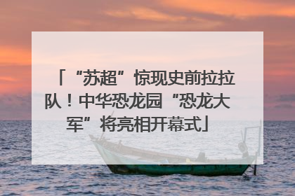 “苏超”惊现史前拉拉队！中华恐龙园“恐龙大军”将亮相开幕式