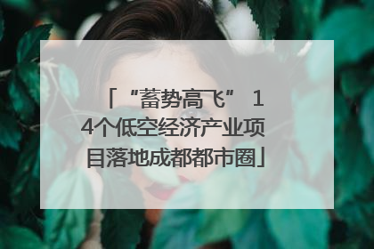 “蓄势高飞” 14个低空经济产业项目落地成都都市圈