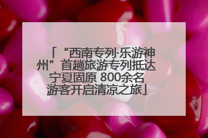 “西南专列·乐游神州”首趟旅游专列抵达宁夏固原 800余名游客开启清凉之旅