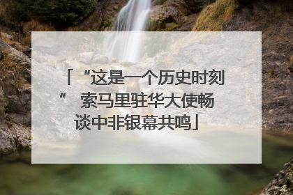 “这是一个历史时刻” 索马里驻华大使畅谈中非银幕共鸣