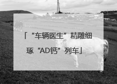 “车辆医生”精雕细琢“AD钙”列车
