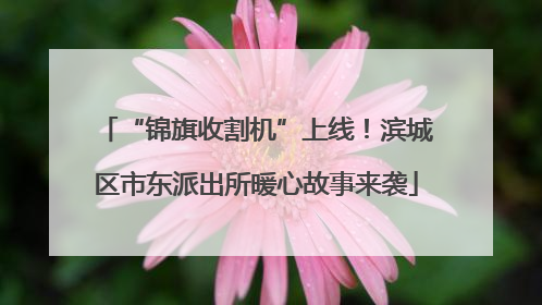 “锦旗收割机”上线！滨城区市东派出所暖心故事来袭