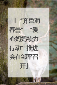 “齐鲁润春蕾”“爱心妈妈续力行动”推进会在邹平召开