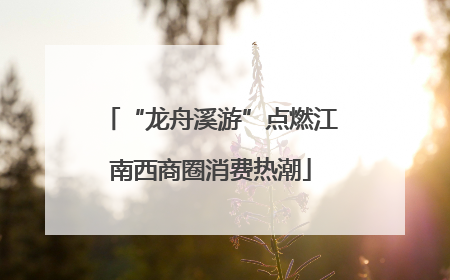 “龙舟溪游”点燃江南西商圈消费热潮